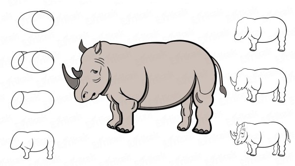 Носорог рисунок для детей карандашом