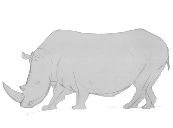 Туловище животного носорог