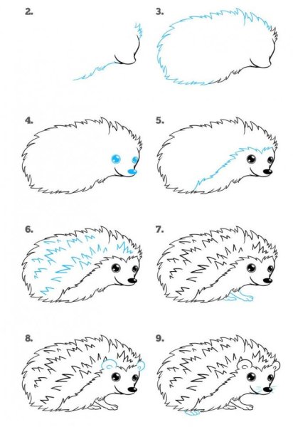 Ежик поэтапное рисование для детей
