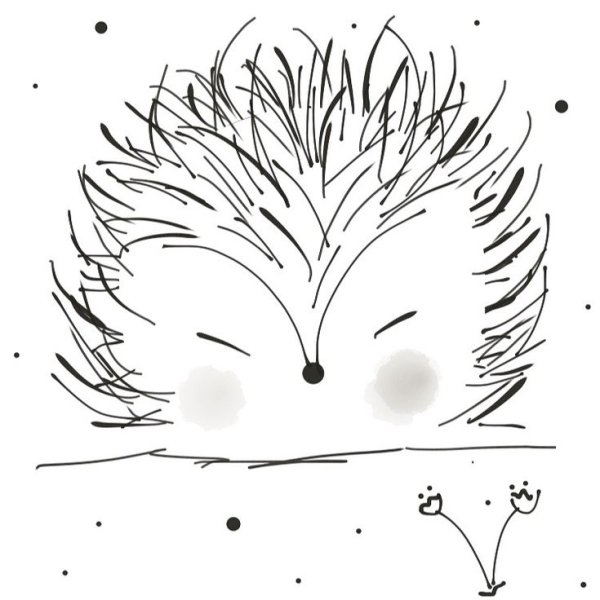 Ёжик для срисовки карандашом