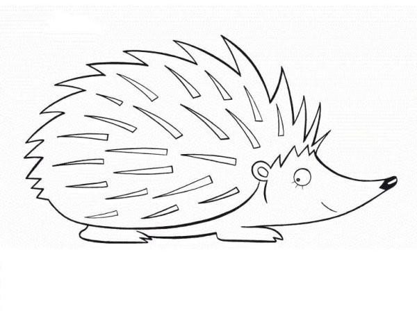 Раскраска Ёжик