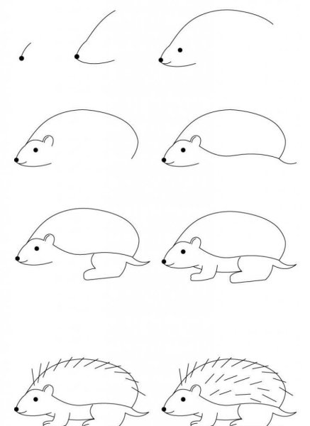 Ежик поэтапное рисование для детей