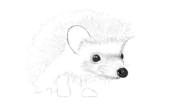 Простые рисунки для срисовки