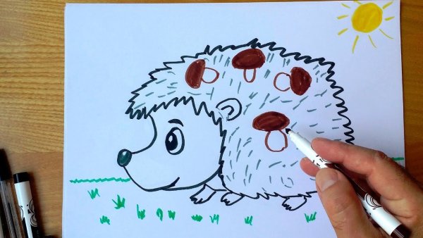 Как нарисовать Ёжика поэтапно