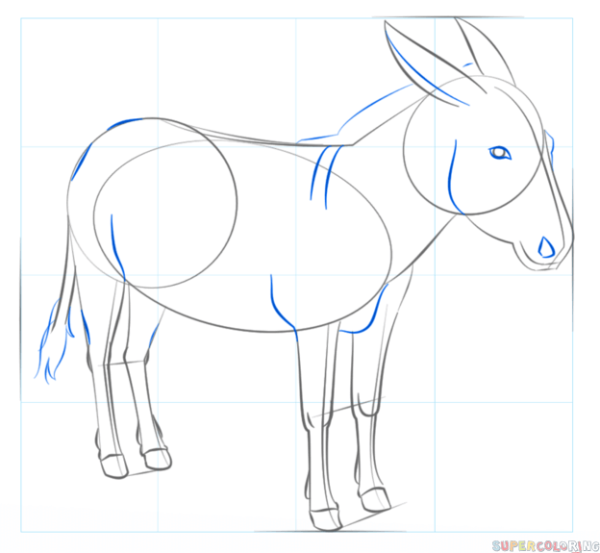 Поэтапное рисование осла