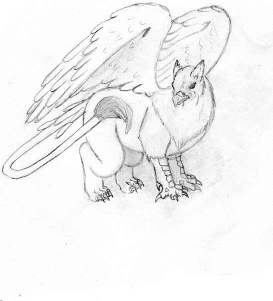 Грифон рисунок карандашом