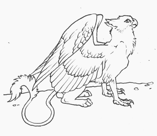 Грифон Гарри Поттер рисунок