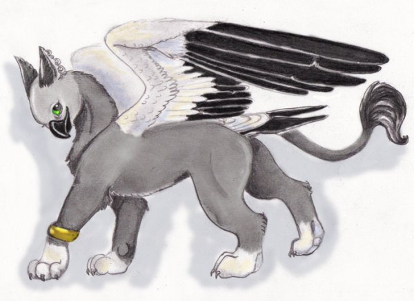 Грифон рисунок для срисовки