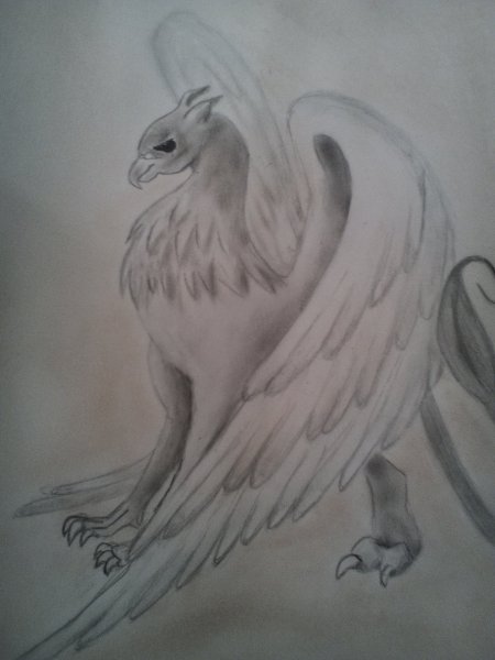 Гиппогриф из Гарри Поттера тату