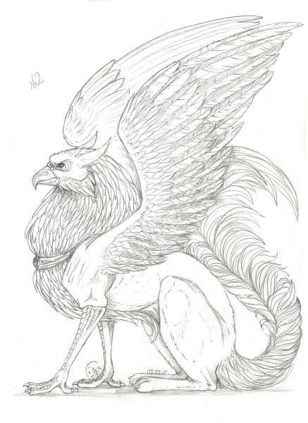 Раскраски аниме животные Грифоны