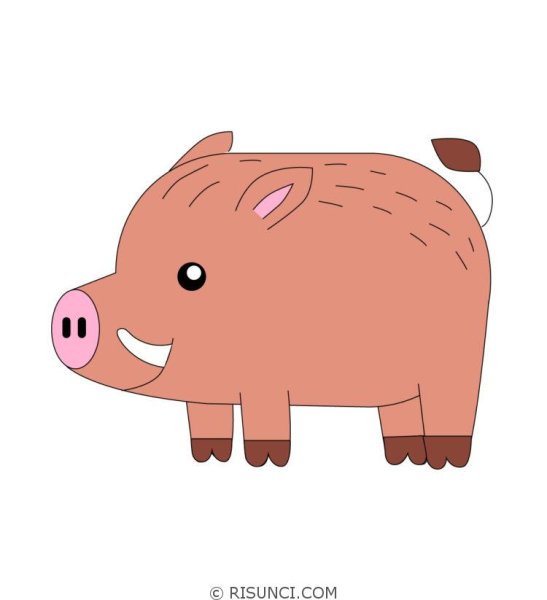 Кабан рисунок для детей