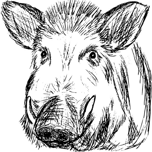 Кабан для выжигания