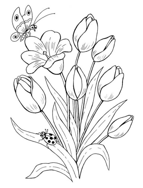 Раскраски цветы красивые