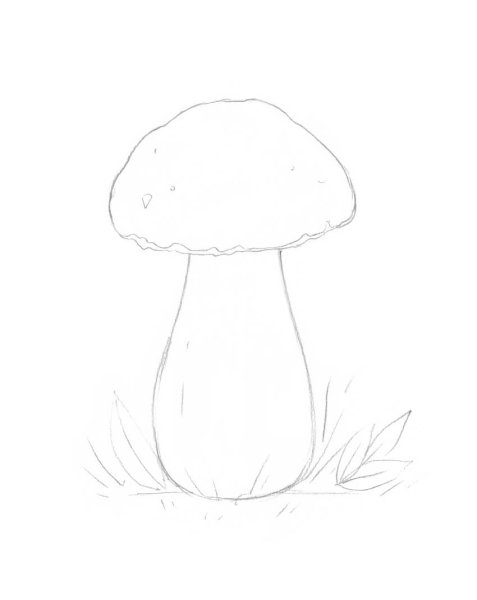 Рисунки грибов карандашом