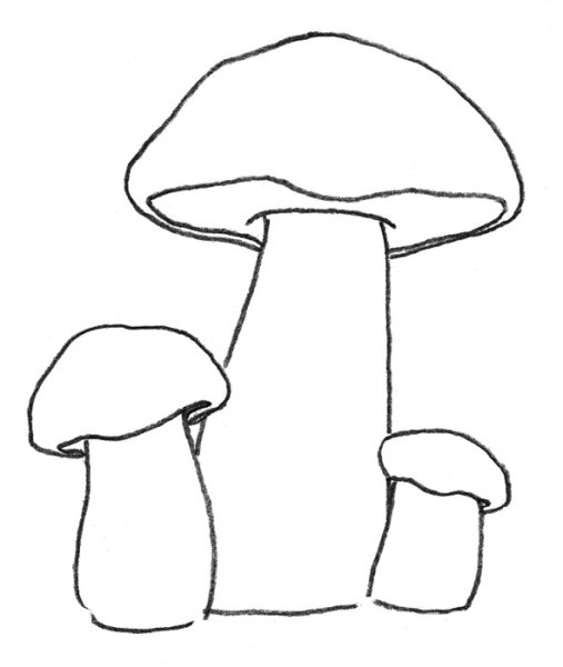 Желчный гриб раскраска