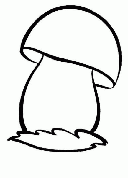 Гриб Боровик раскраска