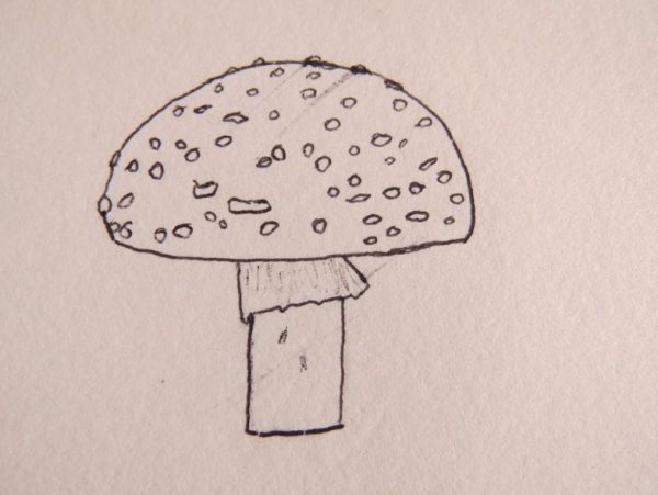 Грибы легкие рисунки
