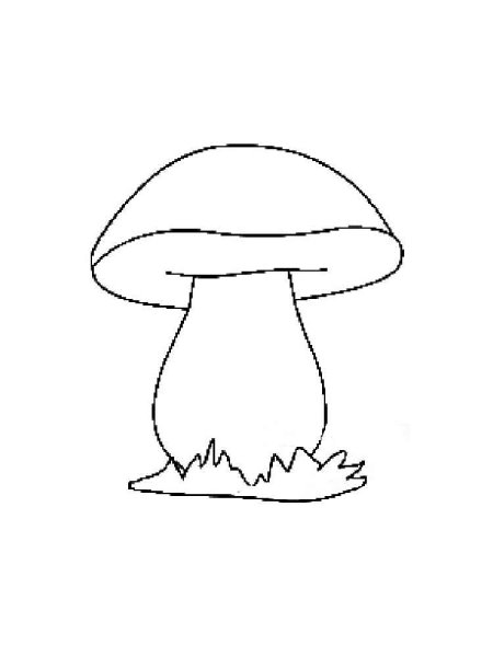 Белый гриб Боровик раскраска