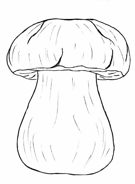 Гриб для раскрашивания детям