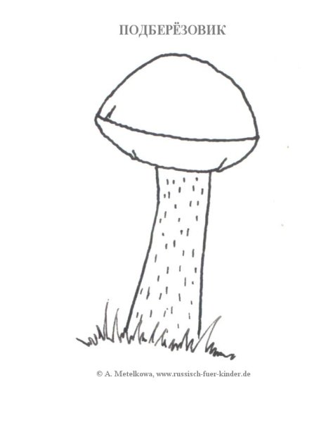 Гриб раскраска