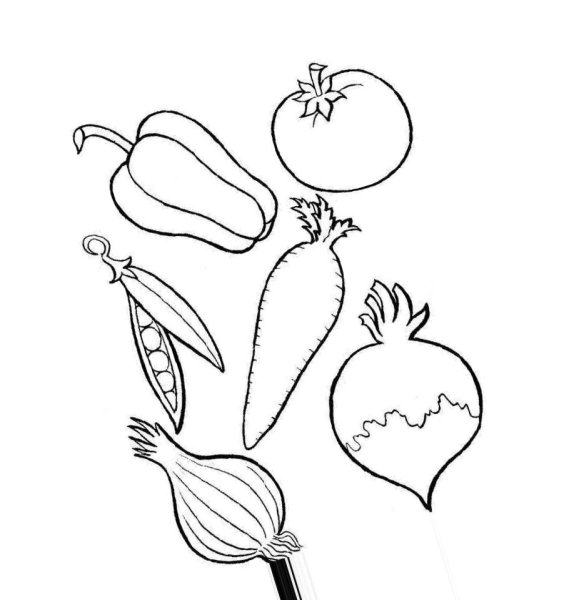 Рисование фруктов иовошей