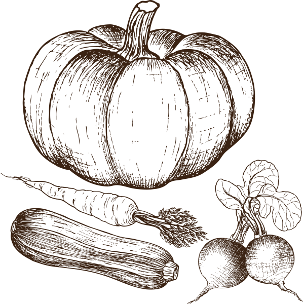 Рисование овощей и фруктов для детей