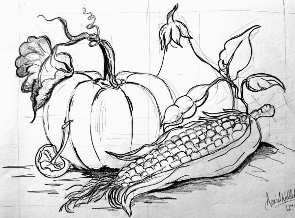 Поэтапное рисование тыквы