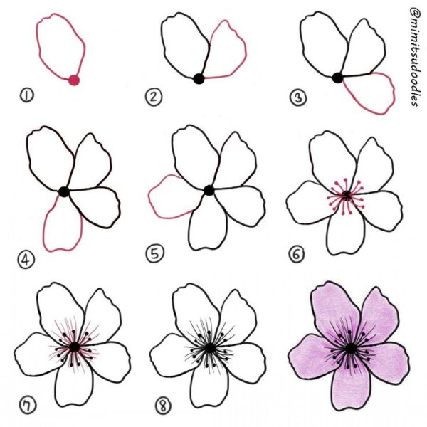 Поэтапное рисование цветов