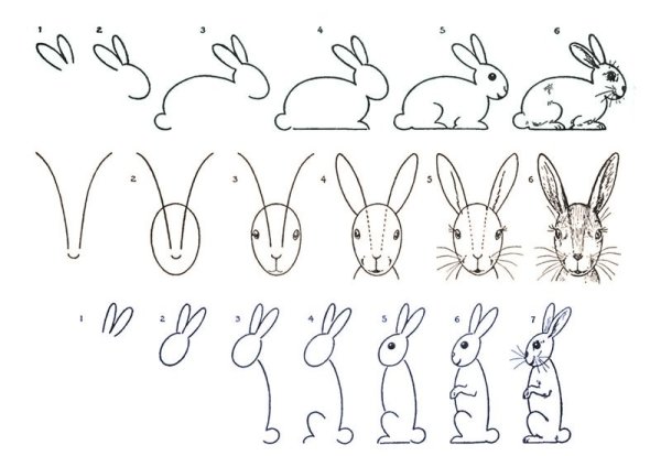 Поэтапное рисованиезаца