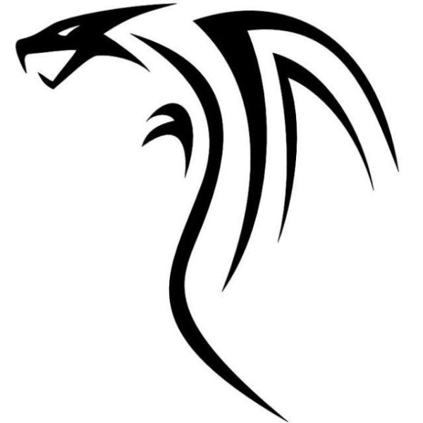 Татуировка дракон трайбл