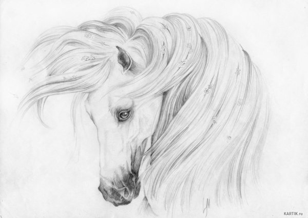 Красивые картинки для срисовки