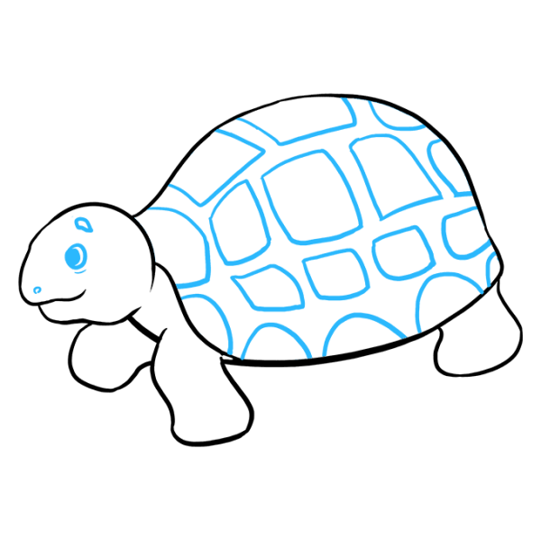 Морская черепаха для срисовки