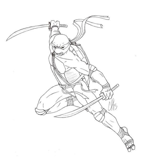 Зарисовки ниндзя