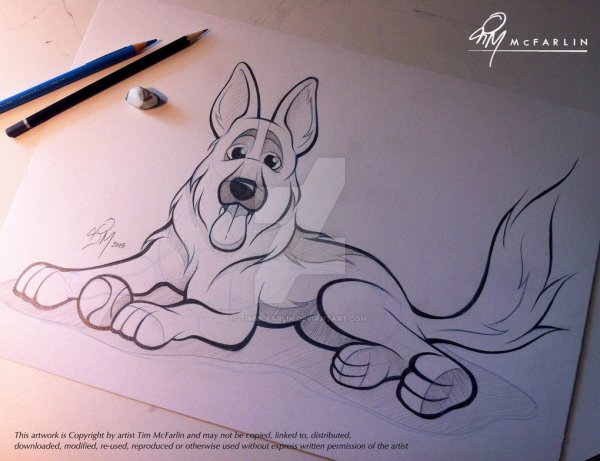 Немецкая овчарка Шеферд