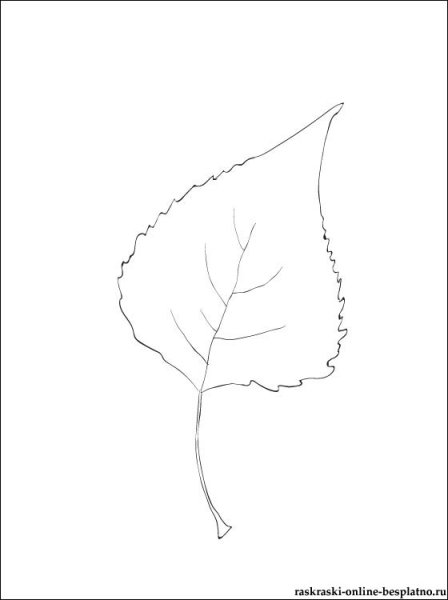 Рисование листа березы