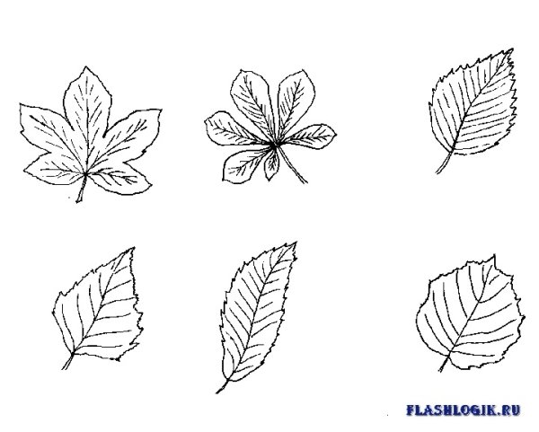 Дерево для рисования листьев