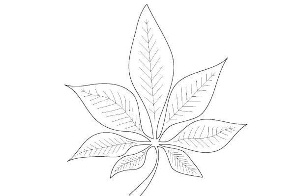 Каштановый лист трафарет