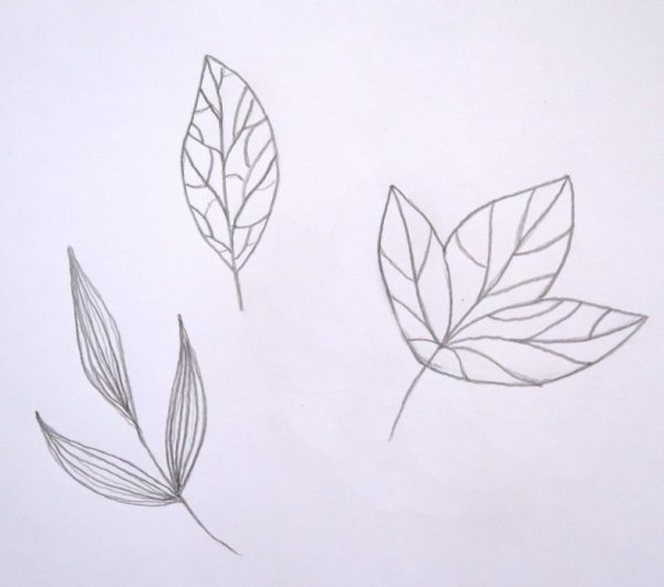 Красивые листики скетчи