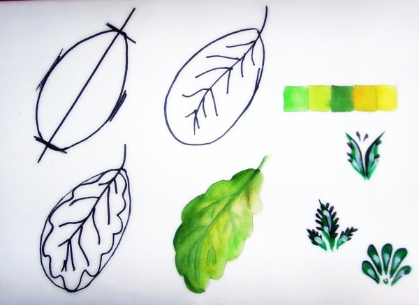 Поэтапное рисование листа