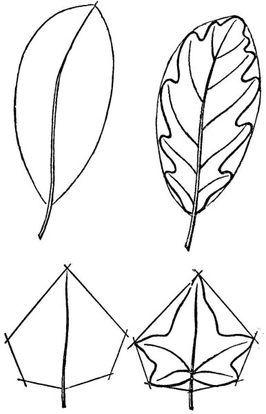 Рисование листьев