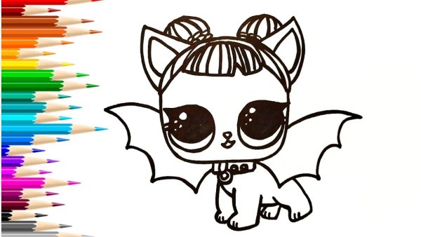 Рисунки питомцев ЛОЛ карандашом