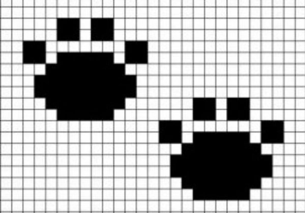 Рисунки по клеточкам сложные