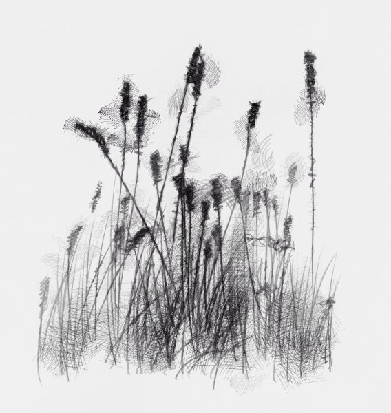 Трава в графике