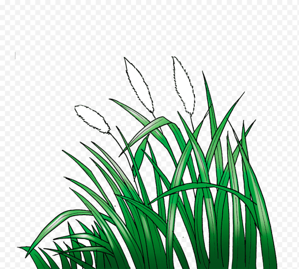 Трава рисунок