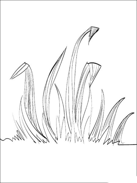 Травка раскраска