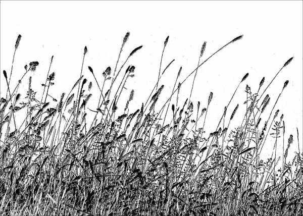 Трава в графике