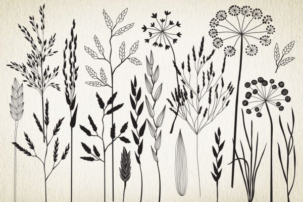 Стилизованная растительность