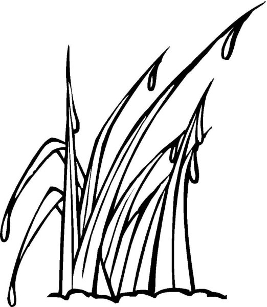 Трава раскраска для детей