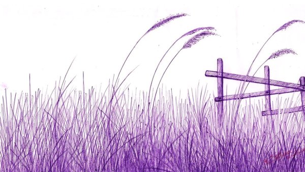 Колыхание трав на ветру карандашом