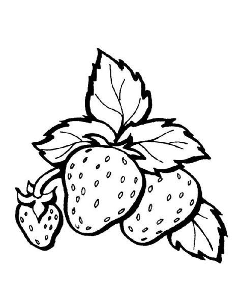 Клубника раскраска